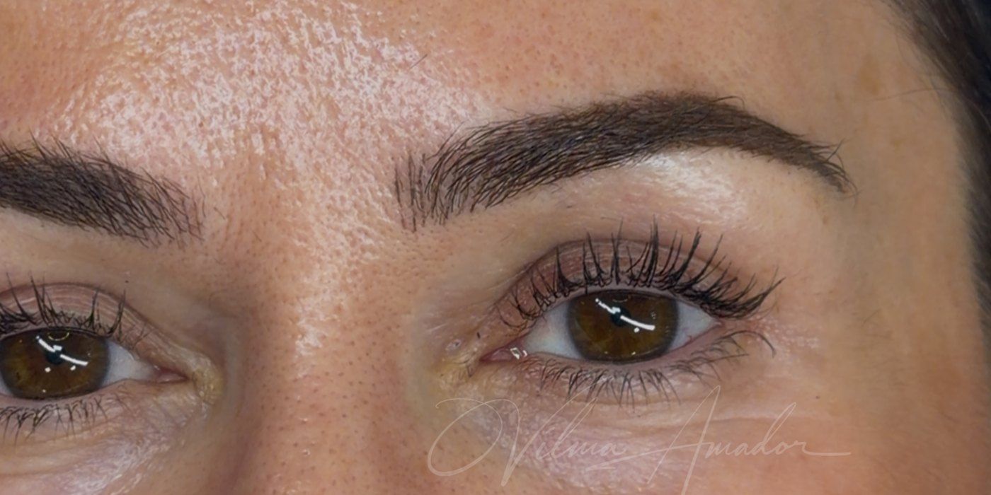 Cejas híbridas en Murcia, resultado de Vilma Amador